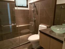 The Arcadia (D11), Condominium #147922032